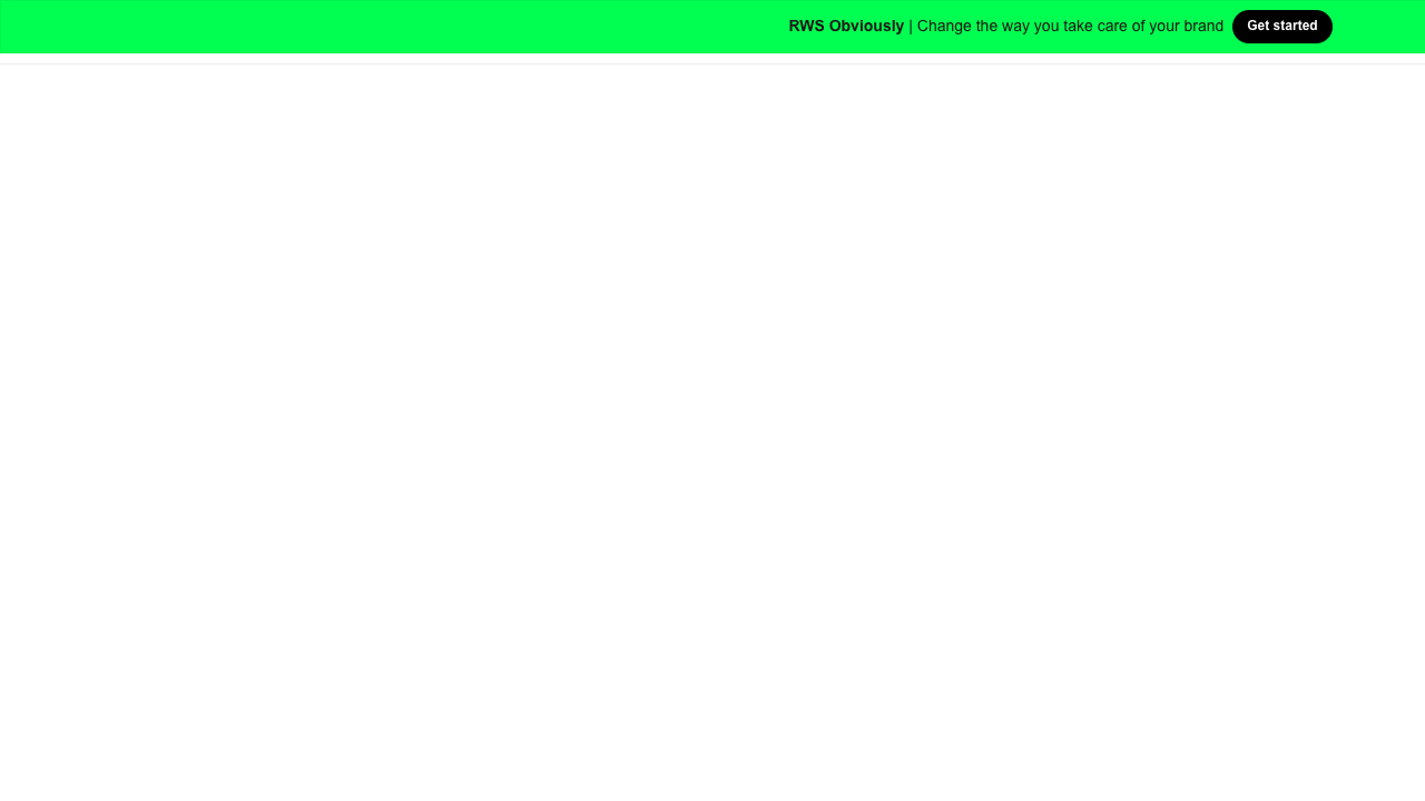 RWS Language Weaver Pro