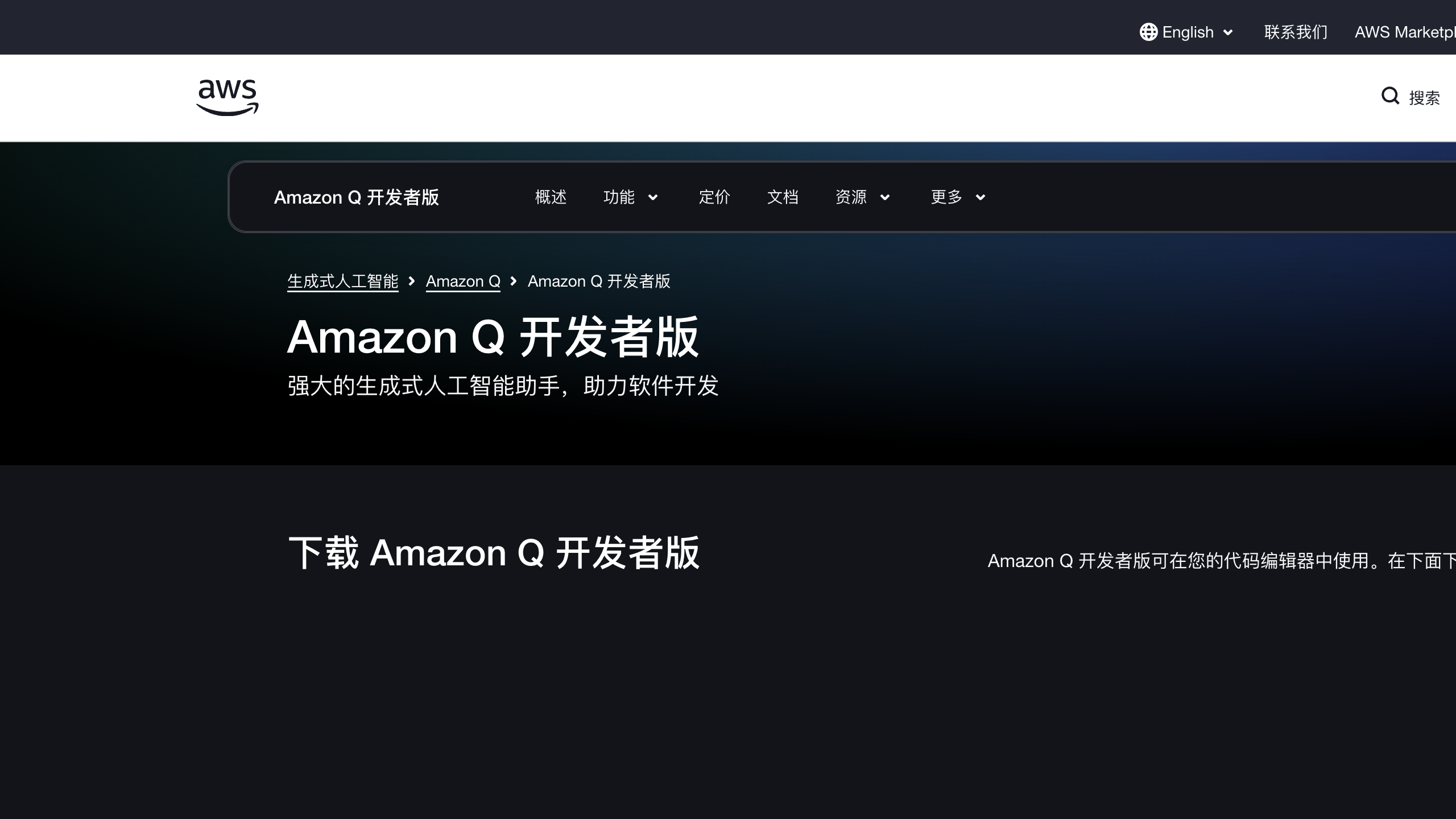 Amazon Q Developer