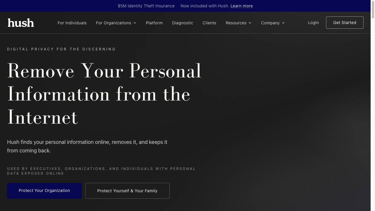 Hush Privacy AI