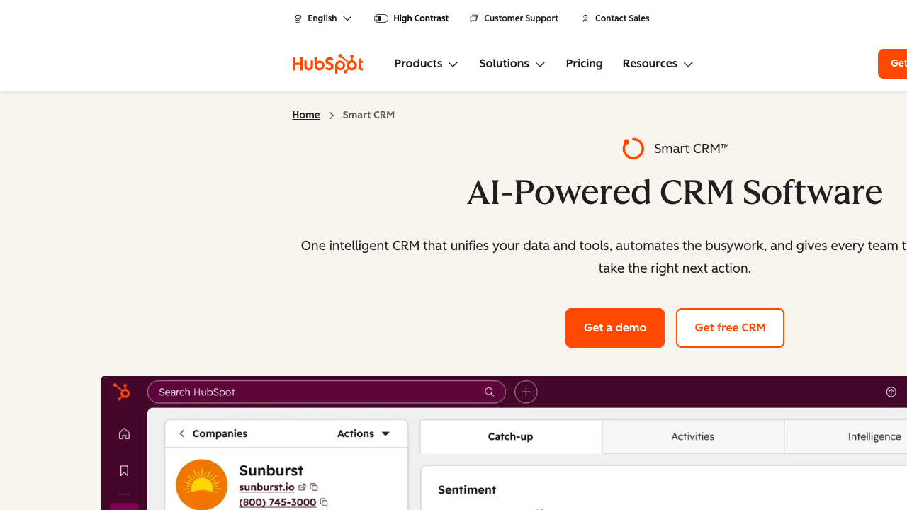 HubSpot AI