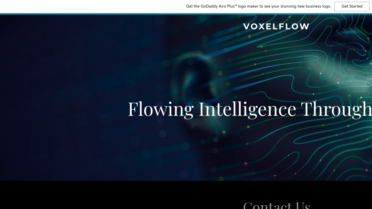 VoxelFlow