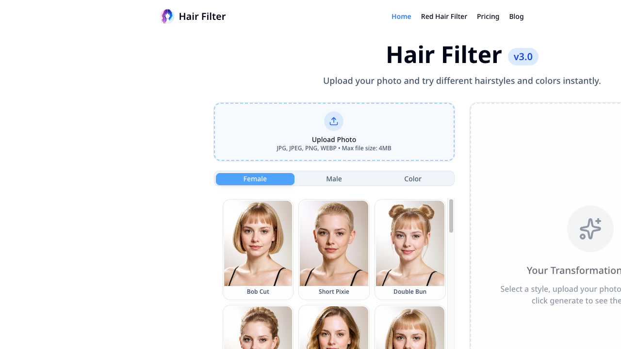 Hair Filter