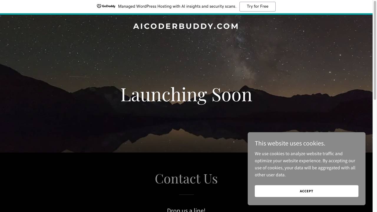 AI Coder Buddy
